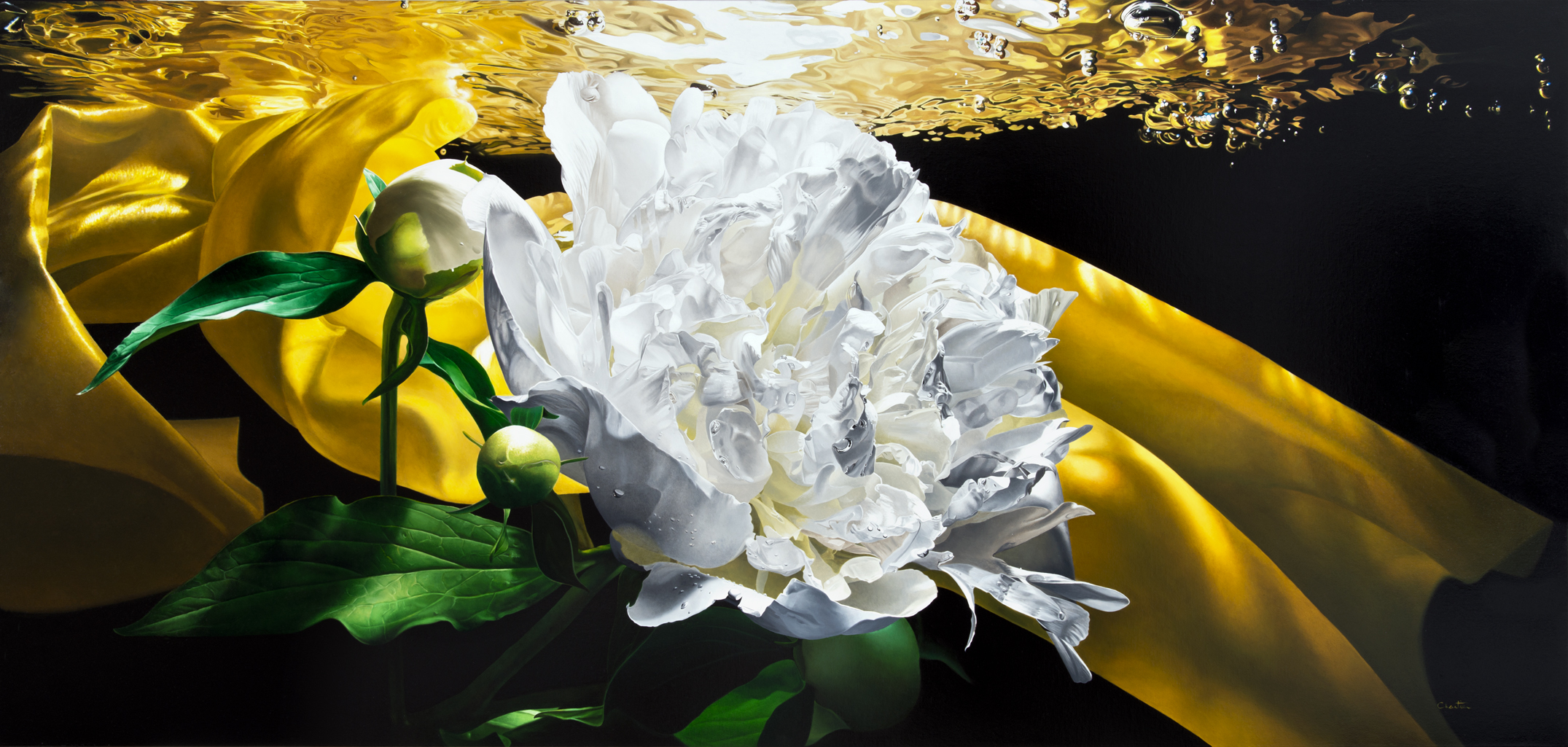 Still life, flower, fleur, nature morte, noir, black, eau ,water, underwater, bulle, bubble, hyperrealism, hyperrealiste, photorealism, photorealiste, painter, New realism, nouveau realiste, crumble paper, papier froissé, Francois Chartier, Pop culture, super hero,oil painting, peinture à l’huile, stop motion, realism, realiste, goofy, water splash, new realism, Dog, vespa, plastic, poney, pivoine, J-P Gautier,