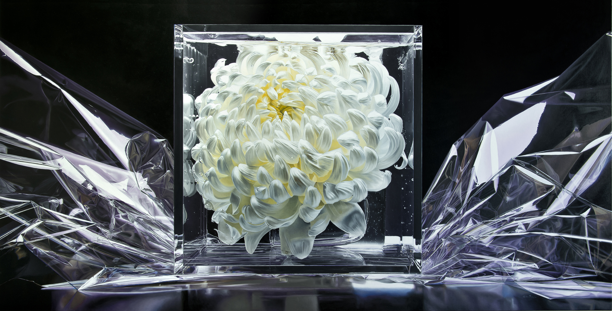 Still life, flower, fleur, nature morte, noir, black, eau ,water, underwater, bulle, bubble, hyperrealism, hyperrealiste, photorealism, photorealiste, painter, New realism, nouveau realiste, crumble paper, papier froissé, Francois Chartier, Pop culture, super hero,oil painting, peinture à l’huile, stop motion, realism, realiste, goofy, water splash, new realism, Dog, vespa, plastic, poney, pivoine, J-P Gautier,