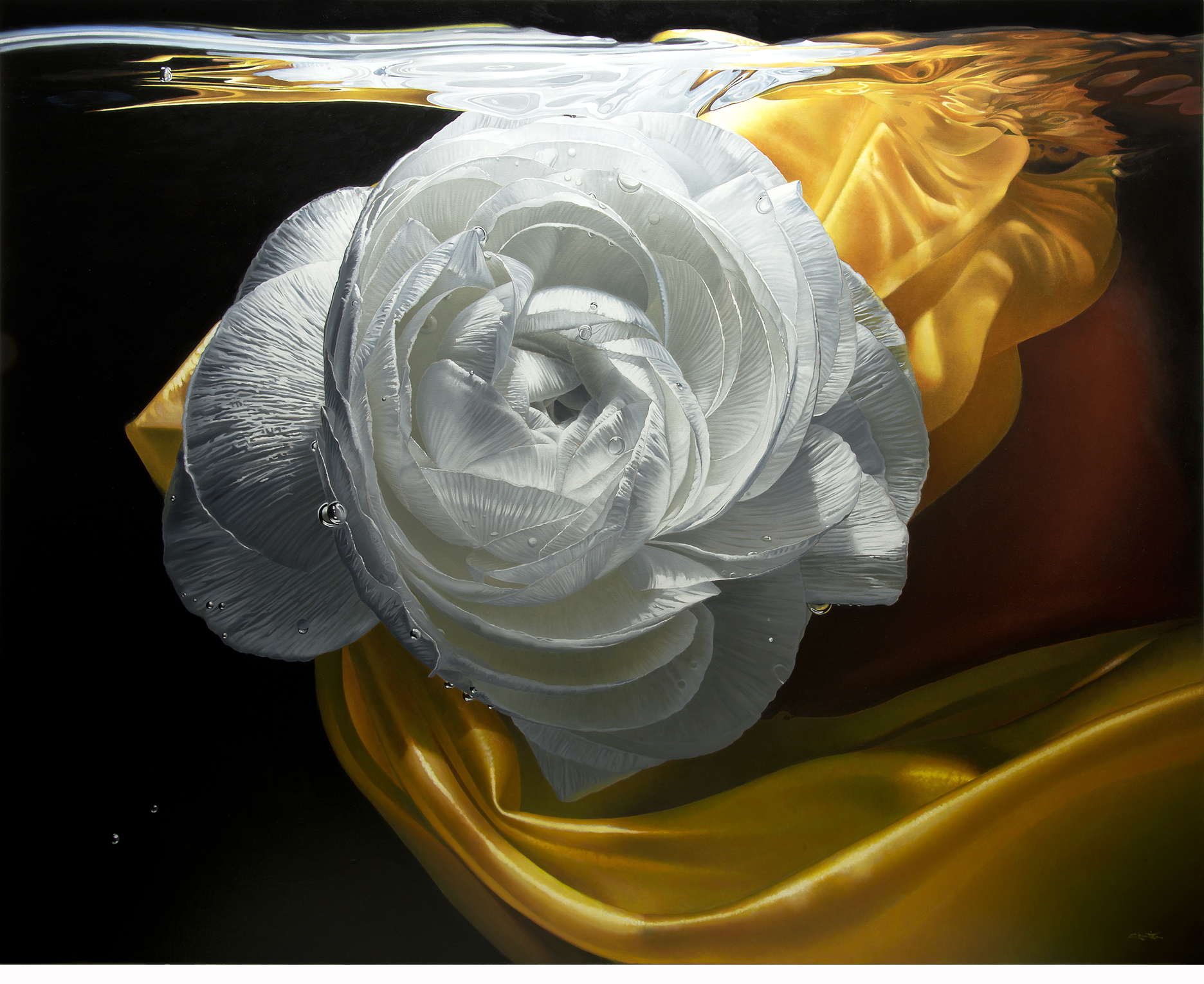 Still life, flower, fleur, nature morte, noir, black, eau ,water, underwater, bulle, bubble, hyperrealism, hyperrealiste, photorealism, photorealiste, painter, New realism, nouveau realiste, crumble paper, papier froissé, Francois Chartier, Pop culture, super hero,oil painting, peinture à l’huile, stop motion, realism, realiste, goofy, water splash, new realism, Dog, vespa, plastic, poney, pivoine, J-P Gautier,