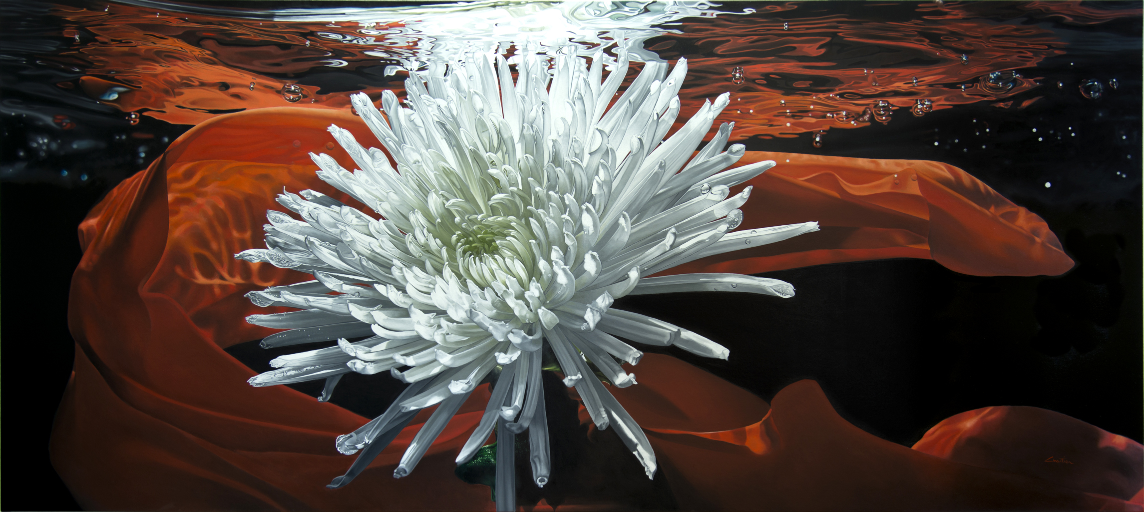 Still life, flower, fleur, nature morte, noir, black, eau ,water, underwater, bulle, bubble, hyperrealism, hyperrealiste, photorealism, photorealiste, painter, New realism, nouveau realiste, crumble paper, papier froissé, Francois Chartier, Pop culture, super hero,oil painting, peinture à l’huile, stop motion, realism, realiste, goofy, water splash, new realism, Dog, vespa, plastic, poney, pivoine, J-P Gautier,