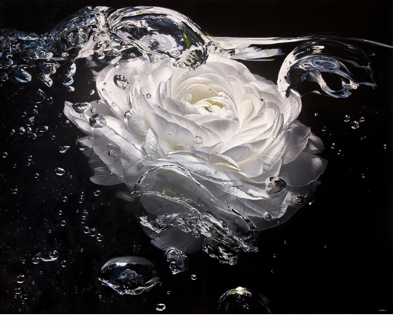 Still life, flower, fleur, nature morte, noir, black, eau ,water, underwater, bulle, bubble, hyperrealism, hyperrealiste, photorealism, photorealiste, painter, New realism, nouveau realiste, crumble paper, papier froissé, Francois Chartier, Pop culture, super hero,oil painting, peinture à l’huile, stop motion, realism, realiste, goofy, water splash, new realism, Dog, vespa, plastic, poney, pivoine, J-P Gautier,